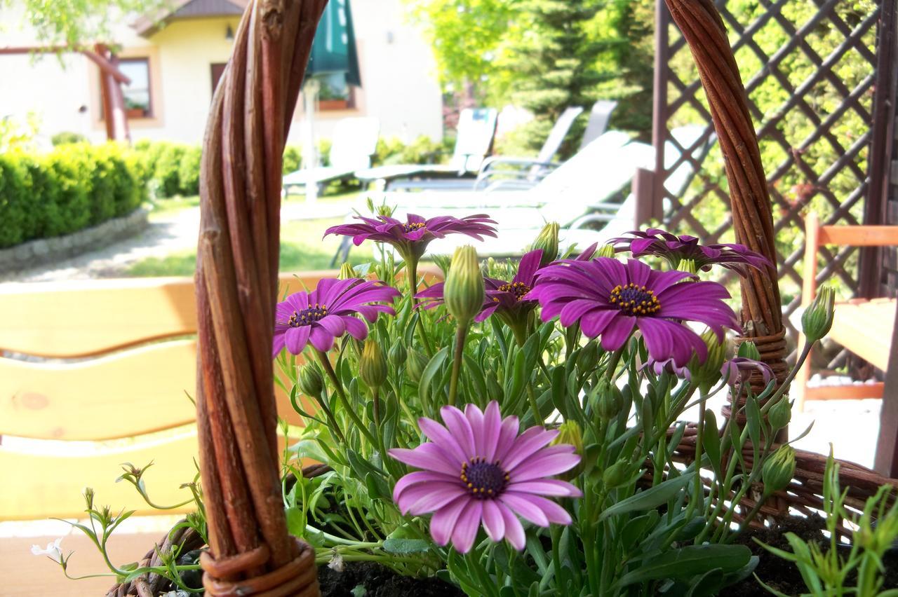 Bed and Breakfast D.L.Blazkiewicz Mielno  Esterno foto